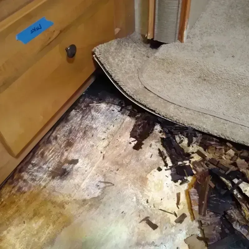 Wood Floor Water Damage in Nacogdoches, TX